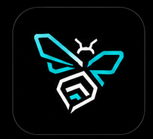 BZZR Consulting avatar